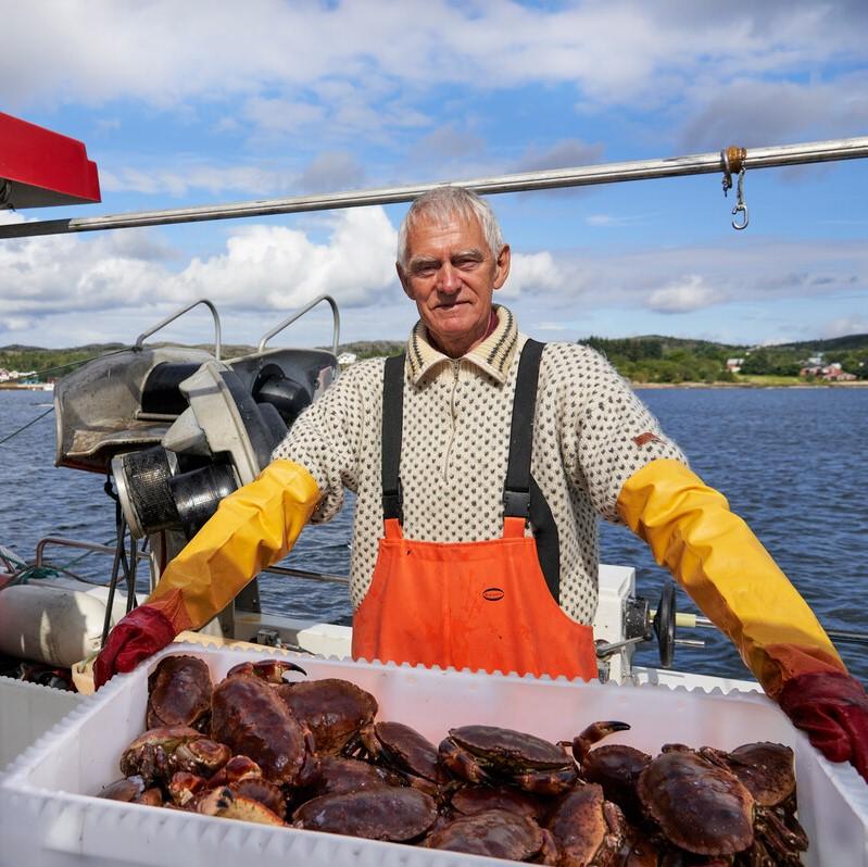 Person på fiskebåt står bak en kasse fylt med krabber. Personen har på seg oljehyre og gule hansker, og havet og kystlandskapet ses i bakgrunnen.