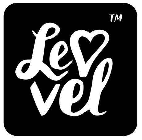 Levvel logo