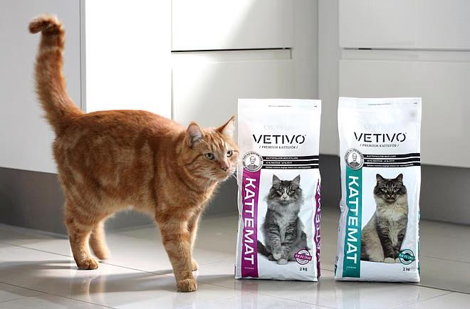 Katt og Vetivo kattemat. 