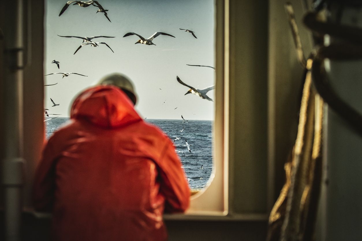 fisker som ser ut mot havet fra båt. måker flyr rundt.