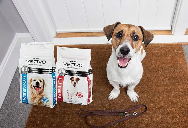 Hund og Vetivo hundemat.